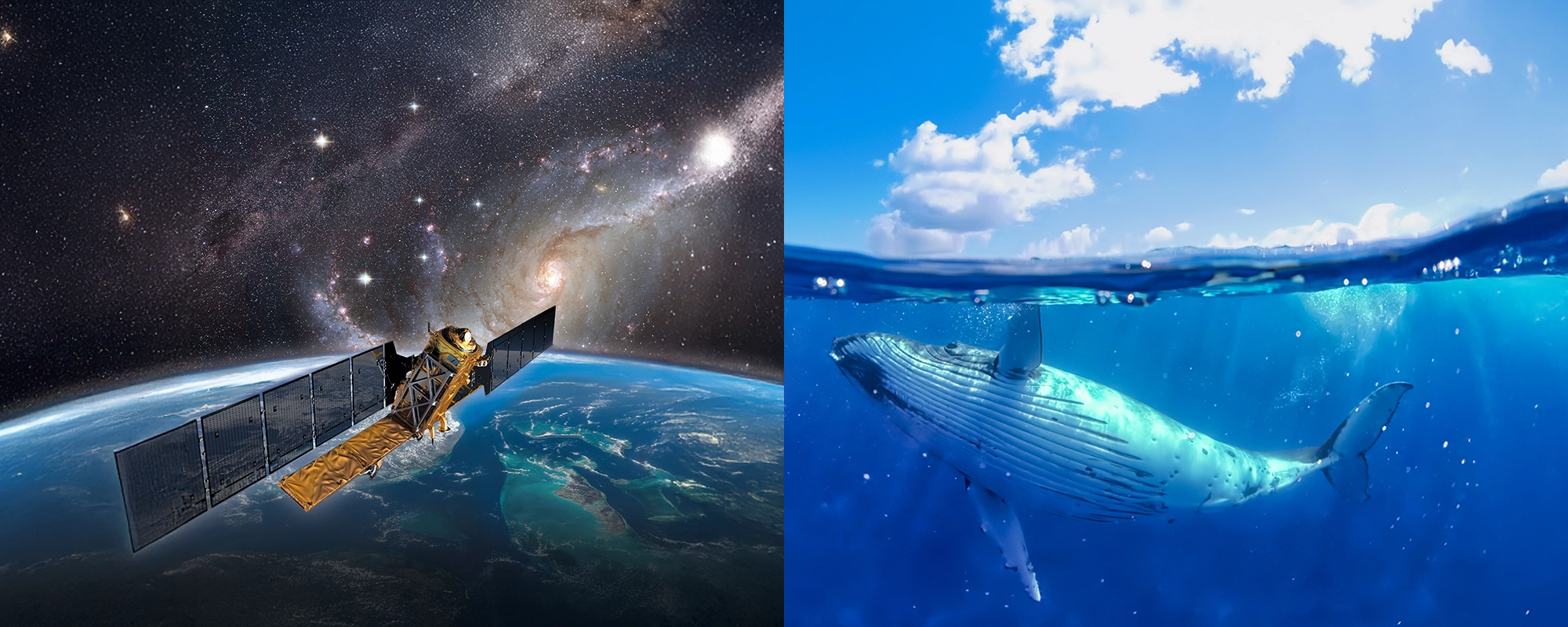 Bild zur Veranstaltung