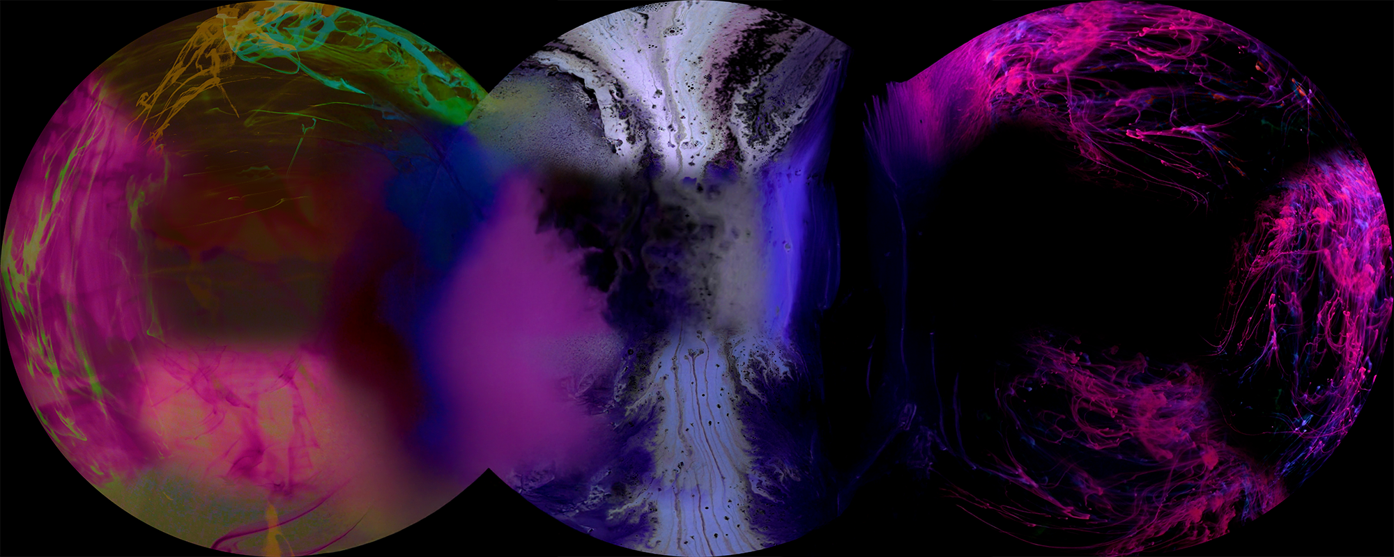 Bild zur Veranstaltung